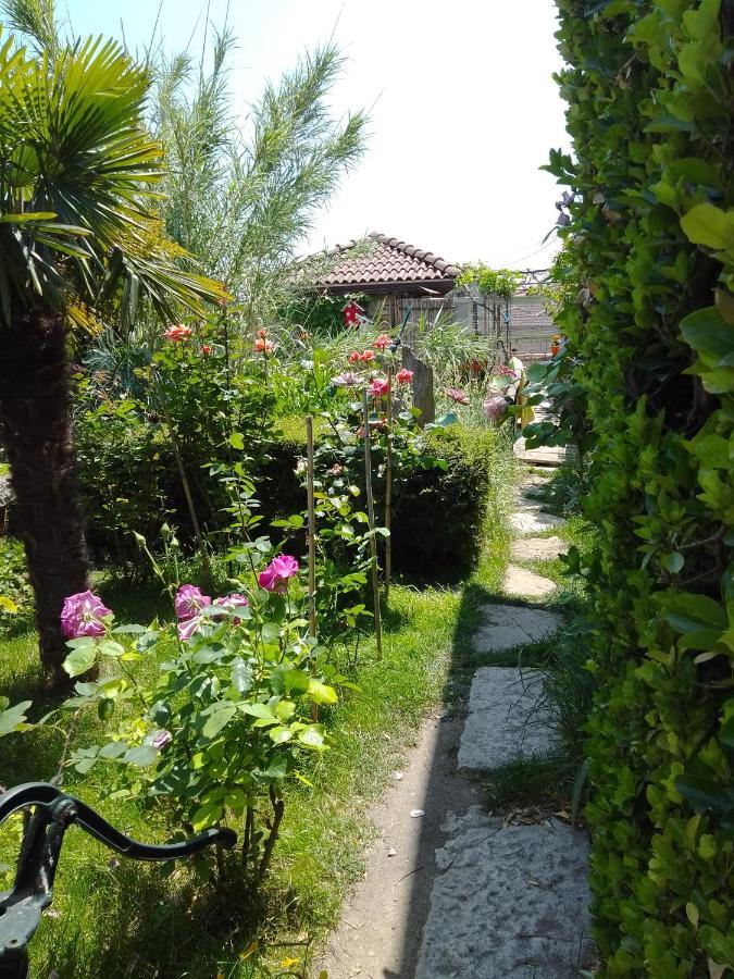 Guest House Amazonia فارنا المظهر الخارجي الصورة