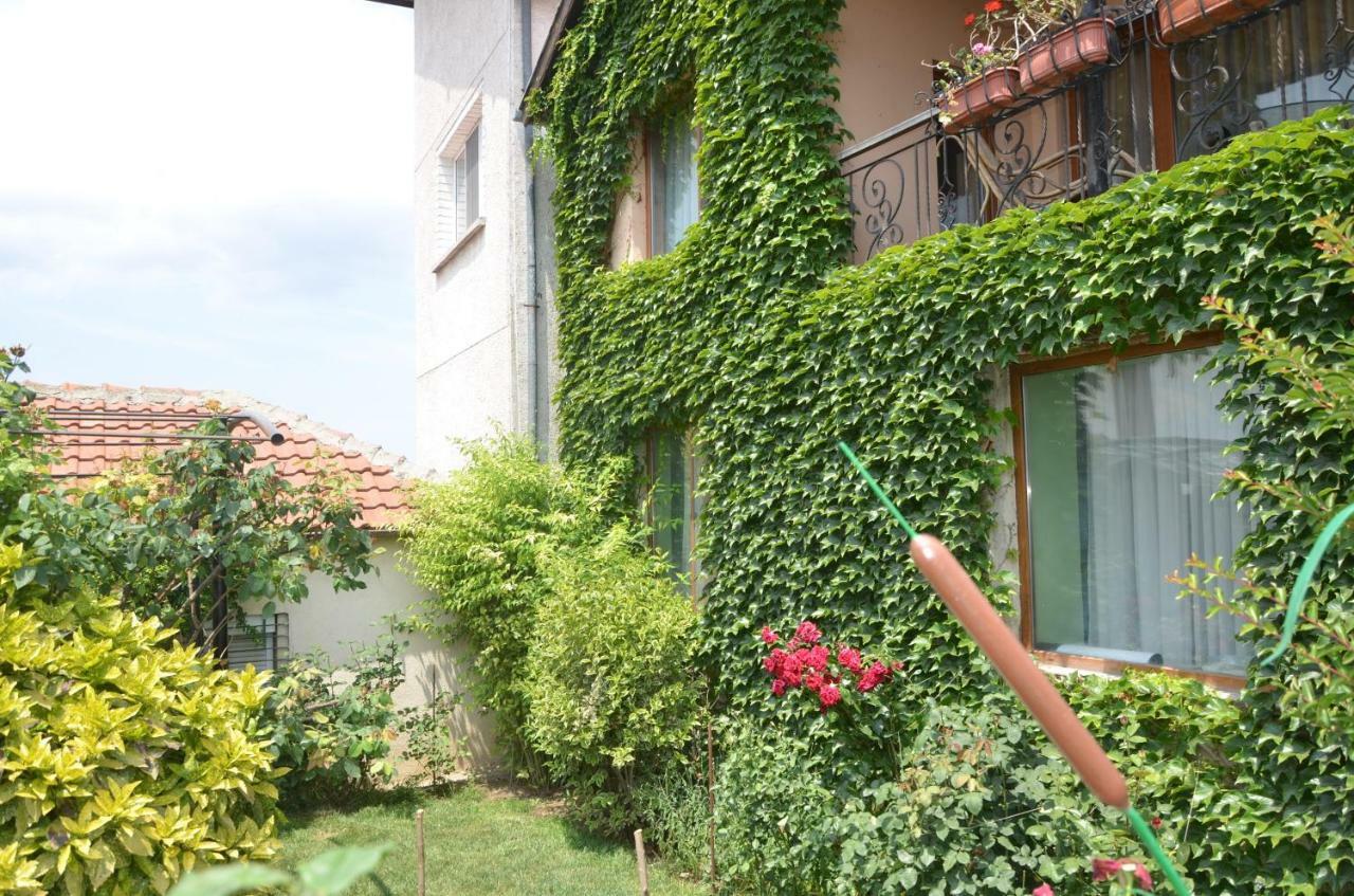 Guest House Amazonia فارنا المظهر الخارجي الصورة